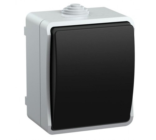 Форс Выключатель 1-клавишный проходной О/У IP54 ВС20-1-0-ФСр  EVS10-K03-10-54-DC  IEK