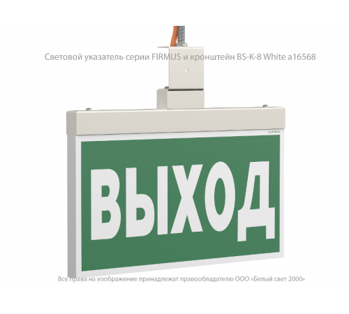 Световой указатель аварийного освещения BS-FIRMUS-10-S1-ELON White  a19499  Белый свет