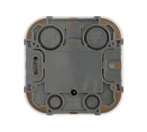 Quteo Белый Розетка RJ11  782214  Legrand