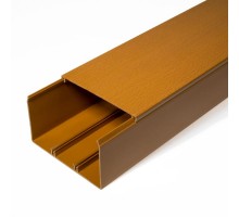 Кабель-канал бук 100х60 (8 м/уп) 2-й замок в п/э PR03.0207  Промрукав