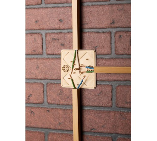 Коробка распределительная KMP-030-032 (100х100х25) светлое дерево EKF PROxima  plc-kmr-030-032-s  EKF