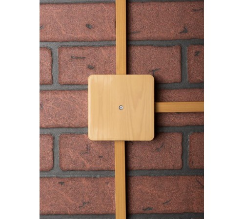 Коробка распределительная KMP-030-032 (100х100х25) светлое дерево EKF PROxima  plc-kmr-030-032-s  EKF