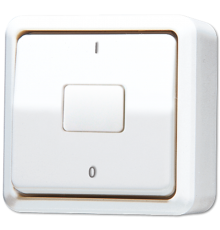 Выключатель для накладного монтажа, двухполюсный; белый  602AWW  Jung