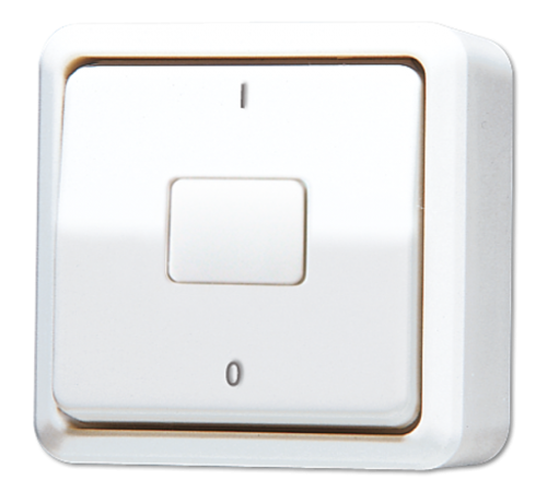 Выключатель для накладного монтажа, двухполюсный; белый  602AWW  Jung
