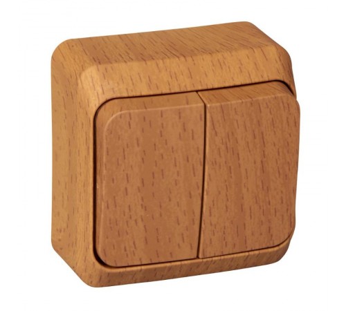 Этюд Бук О/У Выключатель 2-клавишный (сх. 5)  BA10-002T  SE