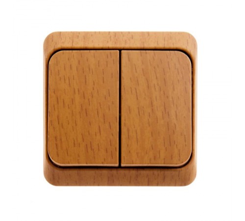 Этюд Бук О/У Выключатель 2-клавишный (сх. 5)  BA10-002T  SE