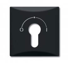 Плата центральная (накладка) с поворотной ручкой, , IP44, серия Allwetter 44, цвет антрацит  1710-0-1902   2CKA001710A1902  ABB