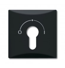 Плата центральная (накладка) с поворотной ручкой, , IP44, серия Allwetter 44, цвет антрацит  1710-0-1902   2CKA001710A1902  ABB