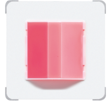 сигнализатор экстренного вызова белый  NRSCD0834RMWW  Jung