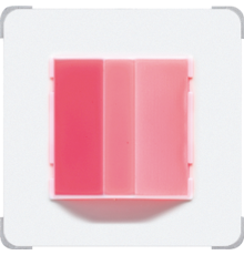 сигнализатор экстренного вызова белый  NRSCD0834RMWW  Jung