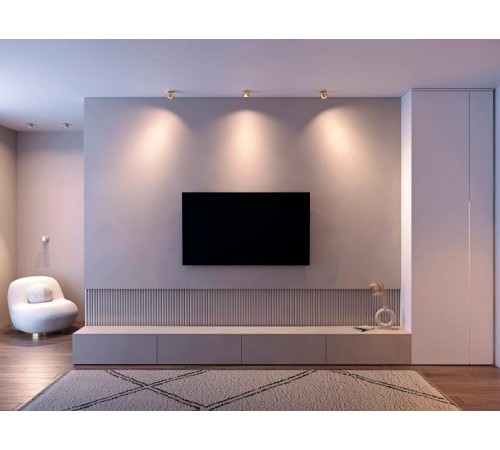 Модуль светодиодный PLURIO-LAMP-R77-9W Day4000 (CHR, 36 deg, 2-2, 38V, 200mA) (Arlight, Металл)  031838  Arlight