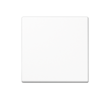 Стандартная центральная плата A1700BFWW Jung