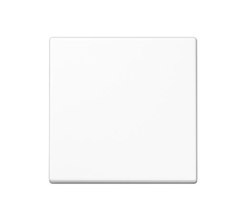 Стандартная центральная плата A1700BFWW Jung