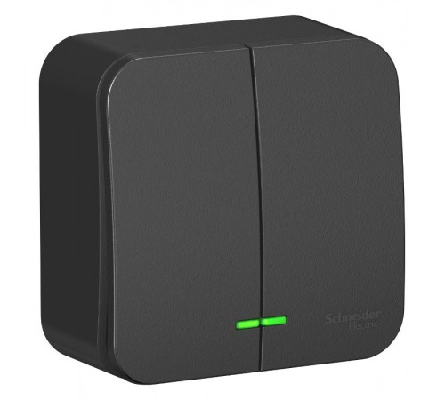 Blanca Антрацит О/У с изолирующей пластиной Выключатель 2-клавишный с подсветкой 10А,250B  BLNVA105116  SE