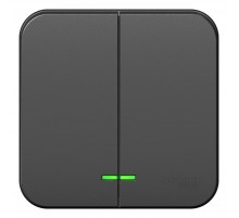 Blanca Антрацит О/У с изолирующей пластиной Выключатель 2-клавишный с подсветкой 10А,250B  BLNVA105116  SE