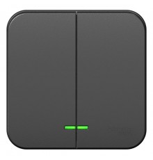 Blanca Антрацит О/У с изолирующей пластиной Выключатель 2-клавишный с подсветкой 10А,250B  BLNVA105116  SE