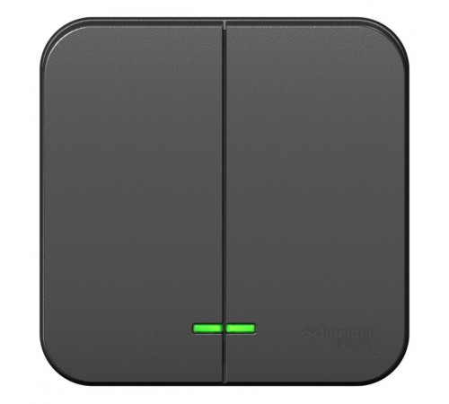 Blanca Антрацит О/У с изолирующей пластиной Выключатель 2-клавишный с подсветкой 10А,250B  BLNVA105116  SE