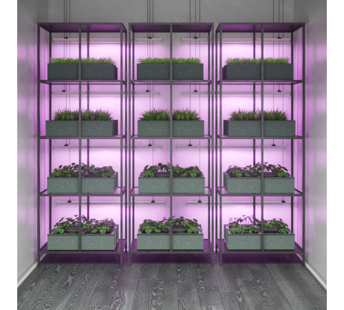 Светильник светодиодный Fito для растений 12W 350lm 175-265V IP20 865*25*37мм, фиолет спектр LED 1/25  130411912  Gauss