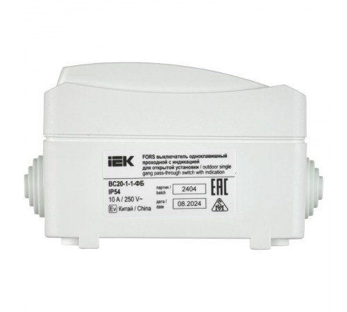 FORS Переключатель 1-клавишный с индикацией О/У IP54 ВС20-1-1-ФБ Белый  EVS11-K01-10-54-DC  IEK