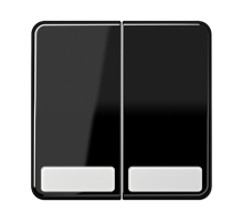 Клавиши для сдвоенных выключателей и кнопок с полем для надписи; черные  CD595NASW  Jung