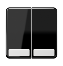 Клавиши для сдвоенных выключателей и кнопок с полем для надписи; черные  CD595NASW  Jung