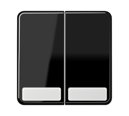 Клавиши для сдвоенных выключателей и кнопок с полем для надписи; черные  CD595NASW  Jung