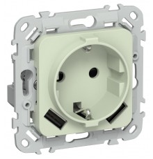 FLITE Розетка с заземлением со шторками 16А с USB A+A 3,1А быстрозажимные клеммы РСЮша11-1-ФлП панг  FI-R14-16-1-U21-D31-K92  IEK