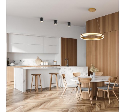 Светильник светодиодный подвесной декоративный 60W, 4200Lum, 4000K, IP20, золото AL5888 SHINNING RING  41698  FERON