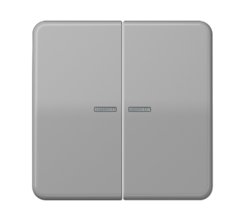 Клавиши ударопрочные для сдвоенногых выключателей с подсветкой; серые  CD595KO5BFGR  Jung