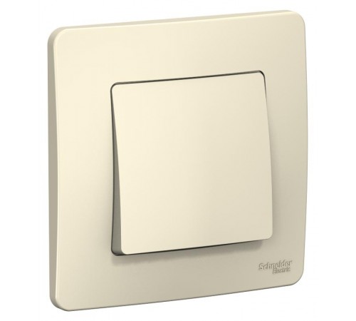 Blanca Молочный С/У Выключатель 1-клавишный, 6А, 250B  BLNVS006102  SE