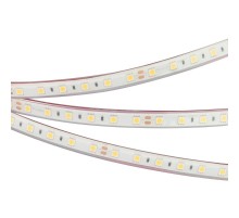 Светодиодная лента герметичная RTW-PFS-B60-13mm 24V Cool 10K (14.4 W/m, IP68, 5060, 5m) (Arlight, 14.4 Вт/м, IP68)  036443  Arlight