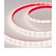 Лента светодиодная герметичная RTW-PFS-B60-13mm 24V Warm3000 (14.4 W/m, IP68, 5060, 5m) (arlight, -)  033788  Arlight