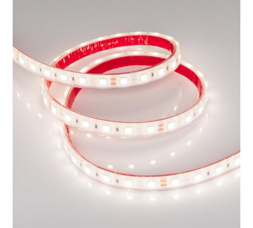 Светодиодная лента герметичная RTW-PFS-B60-13mm 24V Day5000 (14.4 W/m, IP68, 5060, 5m) (Arlight, 14.4 Вт/м, IP68)  036462  Arlight