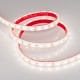 Светодиодная лента герметичная RTW-PFS-B60-13mm 24V Day5000 (14.4 W/m, IP68, 5060, 5m) (Arlight, 14.4 Вт/м, IP68)  036462  Arlight