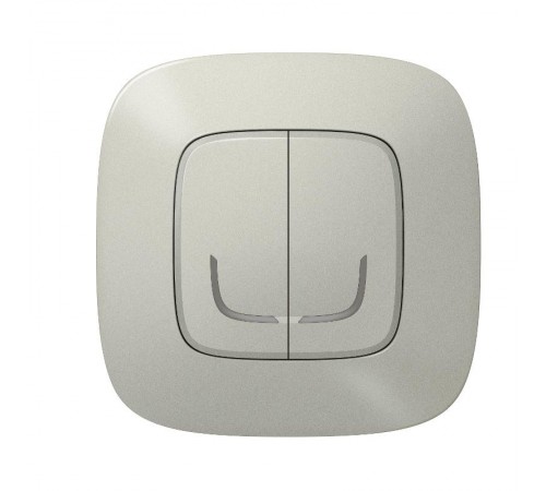 Выключатель Умный беспроводной 2-кл. Valena Allure алюм. Netatmo  752787  Legrand
