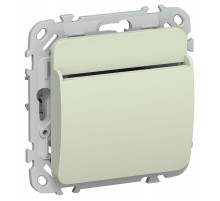 FLITE Выключатель карточный 30А ВК-0-ФлП панг  FI-V11-0-10-K92  IEK