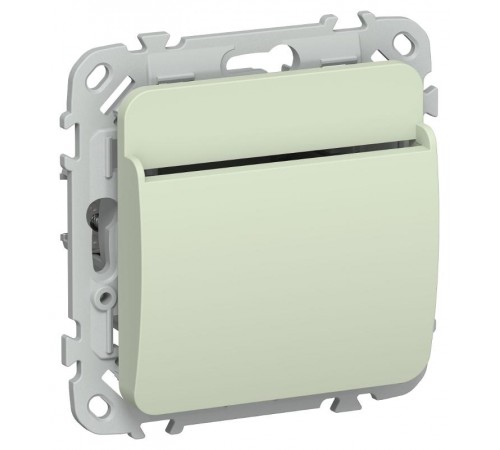 FLITE Выключатель карточный 30А ВК-0-ФлП панг  FI-V11-0-10-K92  IEK