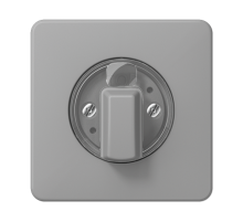 накладка поворотного механизма серая  CD1541GR  Jung