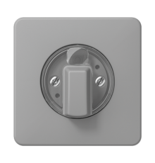 накладка поворотного механизма серая  CD1541GR  Jung