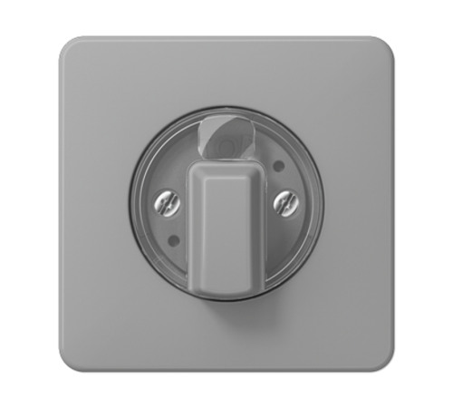 накладка поворотного механизма серая  CD1541GR  Jung