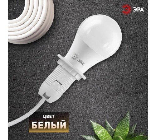 Патрон Е27 с кольцом, пластик, белый (x50)  Б0043748  ЭРА