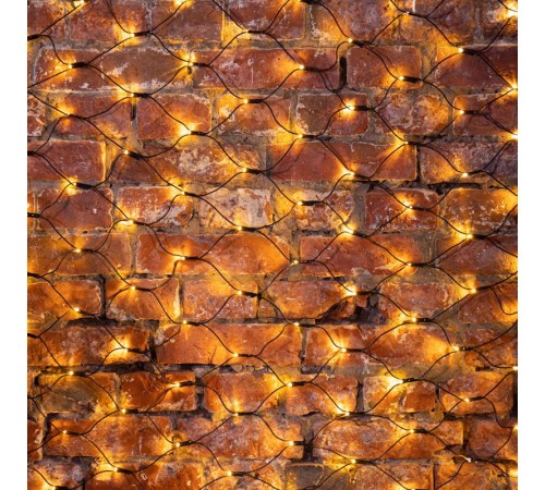 Гирлянда "Сеть" 1х1,5м, черный ПВХ, 160 LED Тёплый белый  215-116  NEON-NIGHT