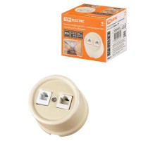 Розетка телефонная RJ11 + компьютерная RJ45 сл. кость "Болонь"  SQ1820-0352  TDM