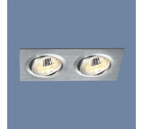 Светильник встраиваемый карданный 1011/2 MR16 CH хром  a029903  Elektrostandard