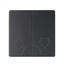 Simon 82 Клавиши (2 шт)  для двухклавишного кнопочного выключателя (2вх+2вых), S82, S82N, S82 Detail, графит  82029-38  Simon