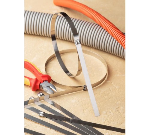 Хомут AISI 304 из нержавеющей стали, 12x520 (100 шт.) FlexLock PROximaplc-fl-tss-304-12x520EKF