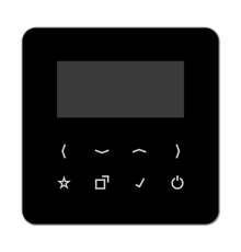 Дисплей DABCDBT-DISPSW Jung