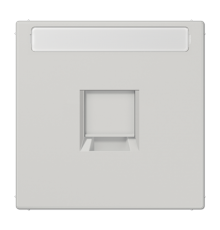 Плата (фиксация защёлкиванием) для одного модуля с полем для надписи; термопласт; светло-серый LS1969-1NAWELG Jung