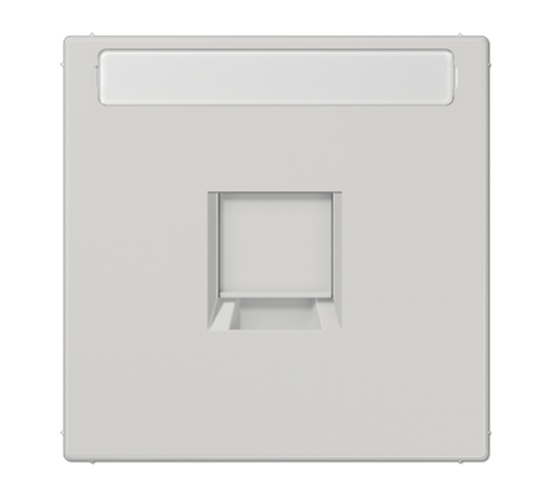 Плата (фиксация защёлкиванием) для одного модуля с полем для надписи; термопласт; светло-серый LS1969-1NAWELG Jung