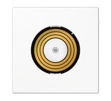 Центральная плата питания PLLSDMSWW Jung